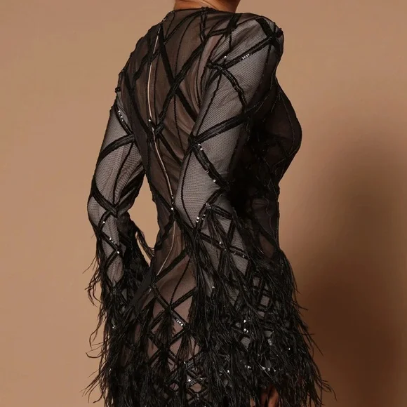 **Brand New ** Amber Deep V Embellished Feather Trim Mini Dress - Black - Picture 10 of 14